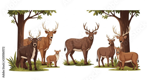 A herd of deer standing in a forest clearing with trees.