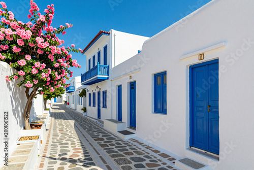 Narrow cobblestone street lined with white buildings and blue doors.