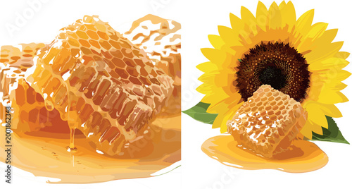 Golden Honeycomb with Dripping Honey and Sunflower, Perfect for Organic Honey and Natural Food Illustrations