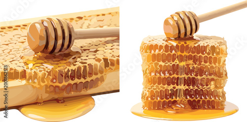 Golden Honeycomb with Dripping Honey and Wooden Dipper for Sweet Natural Food Illustrations