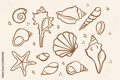  set of hand drawn seashells in clean outline style. Black doodle line art shell icon on white background. Ideal for coloring pages, beach decor, packaging, educational design, summer design.