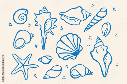  set of hand drawn seashells in clean outline style. Black doodle line art shell icon on white background. Ideal for coloring pages, beach decor, packaging, educational design, summer design.