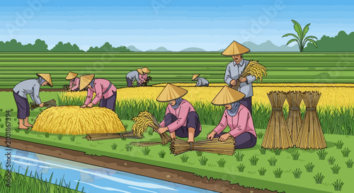Farmers harvesting rice in a traditional Asian paddy field.
