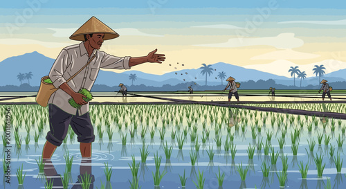 Farmer in traditional hat sowing seeds in a rice paddy field.