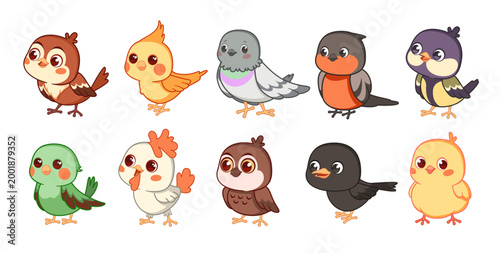 Bird breeds. Funny little feathered friends, kids design, cute cartoon characters, adorable sparrow, pigeon, titmouse and bullfinch, wildlife colorful animals tidy vector isolated mascot set