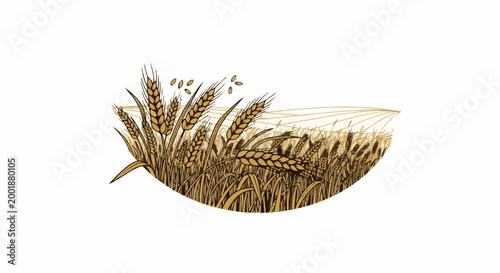 Illustration of golden wheat stalks with falling kernels in a curved field