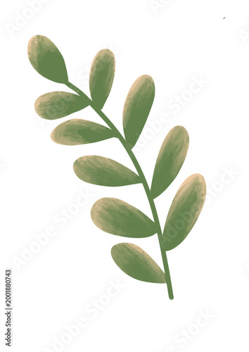 Leave with many branches and color gradation