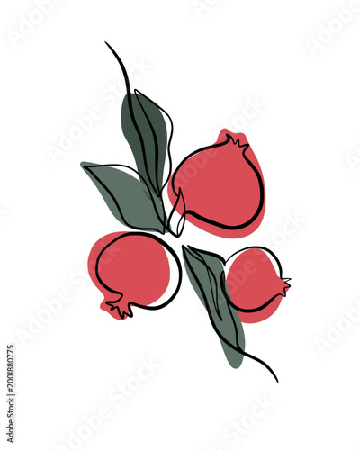 Pomegranate with one line color red and green as leaves