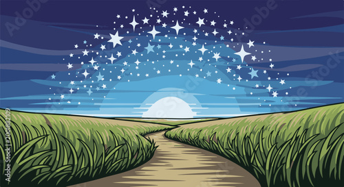 Winding path through grassy fields under a starry night sky
