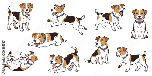 Playful Jack Russell Terrier Dog Character Set, Cute Brown and White Puppy in Various Poses like Running and Sitting, Hand Drawn Vector Illustration