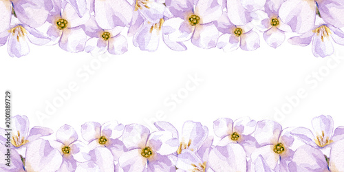Horizontal frame with white hand-painted watercolor flowers on an isolated background..A floral border with an empty space for wedding invitations, bridal shower stationery, minimalist branding, eco