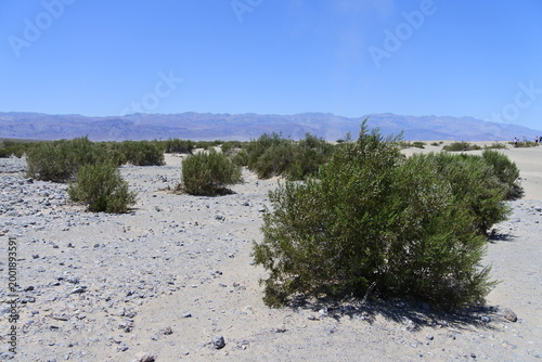 Sandteufel in den Mesquite Sanddünen im Death Valley