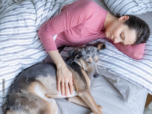young woman sleeps with spotted dog on bed, girl and dog sleep comfortably together and cuddle in bed in morning. peaceful woman is relaxing in bed, cuddling with her dog in serene morning moment.