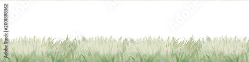 Horizontal seamless border of lush green grass. Watercolor illustration with soft transitions on an isolated background. Ideal for website footers, spring greeting cards, eco-friendly packaging
