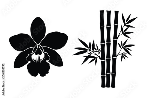 Black silhouette vector illustration of an orchid flower and bamboo stalks