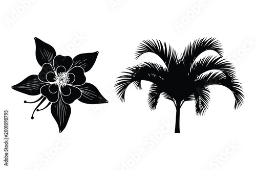 Black silhouette vector illustration of a columbine flower and a tropical palm