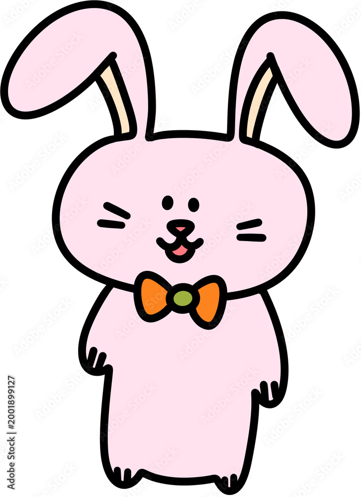 Fototapeta premium rabbit