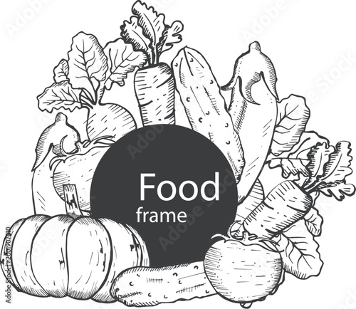 Collection of autumn harvest vegetable doodles for seasonal farm market and cooking vector