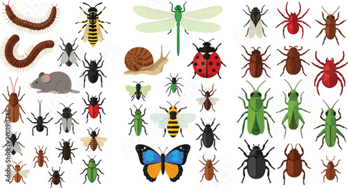 Insects and bugs collection with beetles, dragonfly, centipede, ladybug and flies, detailed wildlife entomology vector illustration set isolated on white background