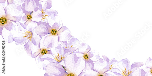 Hand-painted watercolor composition with a diagonal flow of white spring flowers isolated on a white background. The Botanical template for modern wedding stationery, creative social media backgrounds