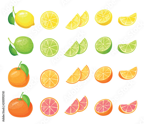 Lemon orange lime citrus. Fruit grapefruit slice half whole, tropical juicy sweet fresh yellow green red citron fruits lemonade drink cartoon isolated set neat vector illustration