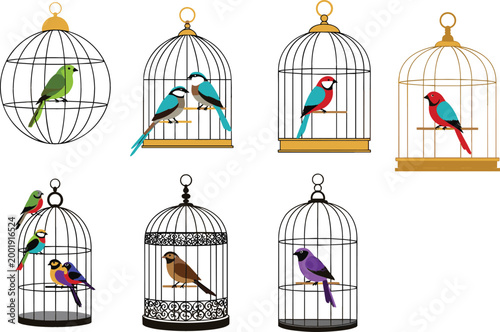 Birds in cages set colorful parrots and songbirds in decorative vintage cages animal captivity concept flat vector illustration collection