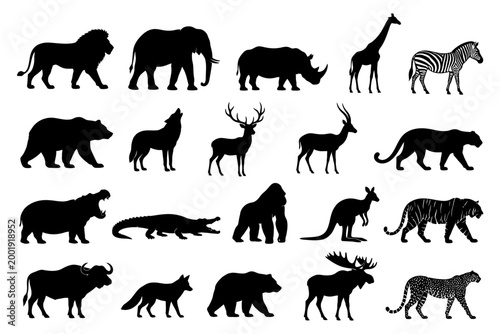 Silhouettes of diverse animals including lion, elephant, zebra, and more.