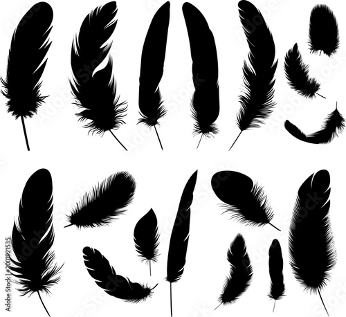 Set of silhouette feathers in different angles, vector