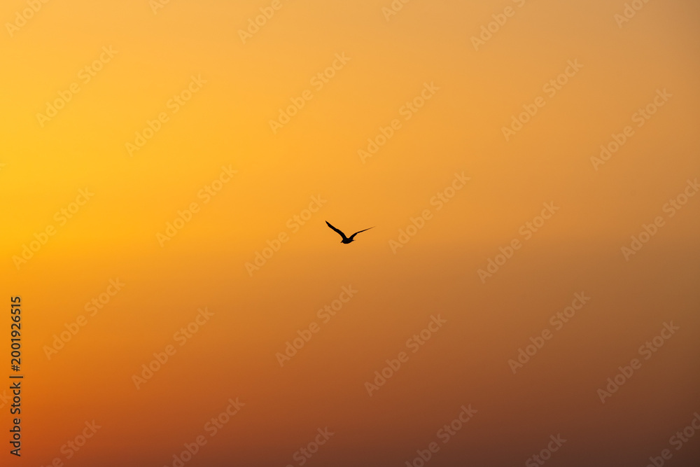 Naklejka premium Minimalist Coastal Landscape Featuring Bird in Flight and Renewable Energy Silhouette During Golden Hour