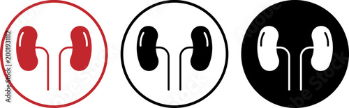 Set of kidney icons in different styles