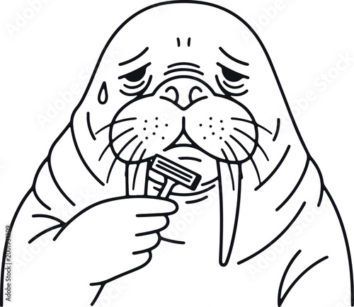 Sad walrus shaving tusks with razor, isolated on transparent background, line art illustration, emotional concept.
