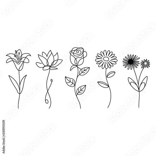 One line drawing style black ink flowers including lily lotus rose and daisy on transparent background for elegant tattoo design.