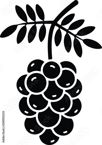 Silhouette vector grapes bunch with leaves for healthy food design