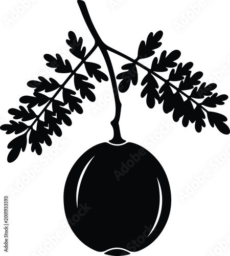 Silhouette vector illustration of a ripe fresh gooseberry plant design