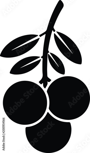 Silhouette vector illustration of fresh organic berries on a branch design