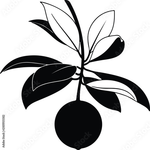 Silhouette vector lemon branch with fresh leaves simple graphic design