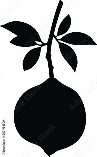 Silhouette vector lemon fruit with green leaf branch graphic design