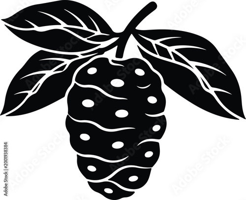 Silhouette vector noni fruit illustration with fresh green leaves design