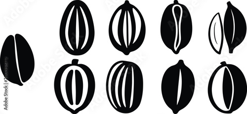 Vector Cocoa Bean Icon Set Chocolate Ingredient Agriculture Cocoa Plant Logo Collection Symbols
