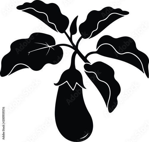 Silhouette vector of a fresh eggplant with large green leaves design