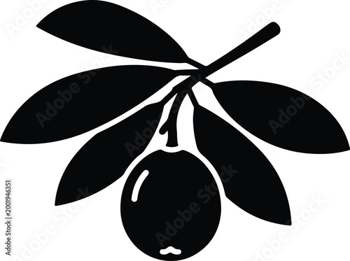 Silhouette vector olive branch with single fruit for graphic design
