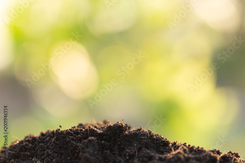 Close up soil ground with natural texture and soft green bokeh background