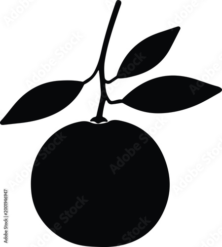 Silhouette vector orange fruit with leaves isolated on white design