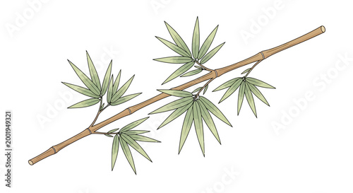 Detailed view of a plant branch.