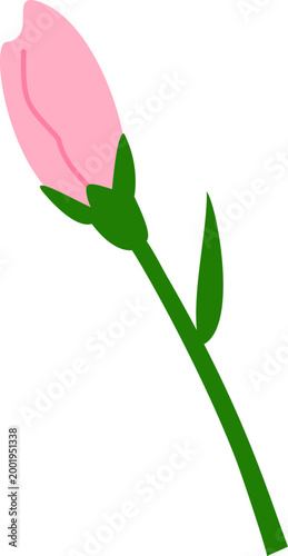 카네이션 꽃장식