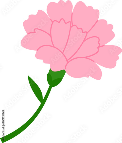 카네이션 꽃장식