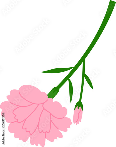 카네이션 꽃장식