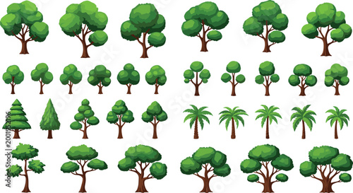 Cartoon tree collection with various forest and tropical trees including palm pine and leafy styles nature vector illustration set isolated on white
