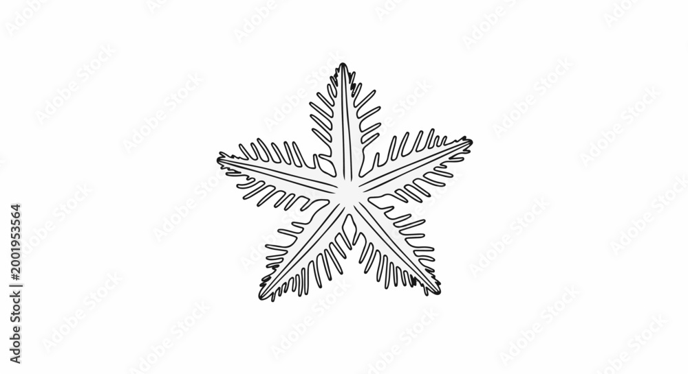 Obraz premium Stylized black and white five-pointed star with feathery edges