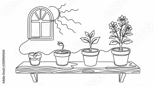 Continuous one line drawing of plant growth stages